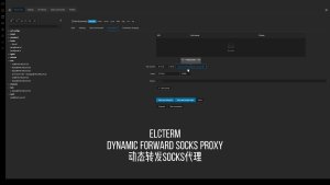Electerm Dynamic SOCKS Proxy